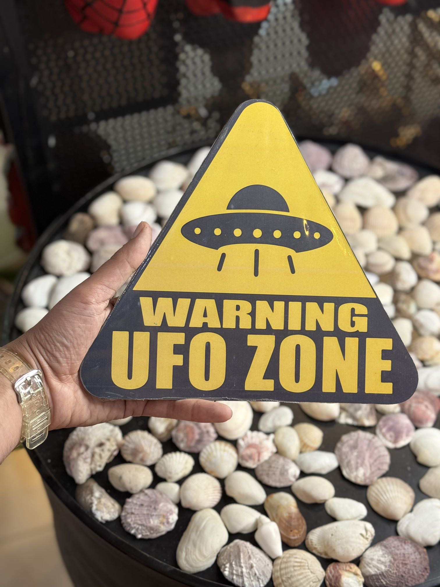 تابلو طرح UFO Warning Zone